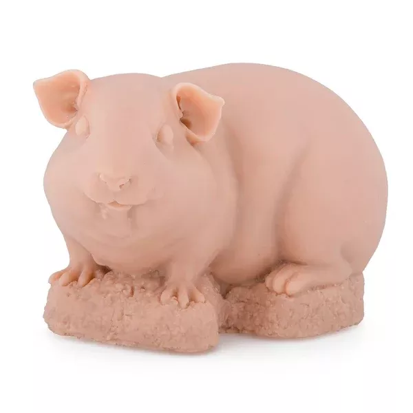 APOF-Guinea Pig
