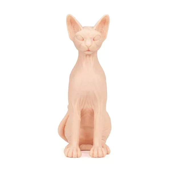 APOF Sphynx Cat
