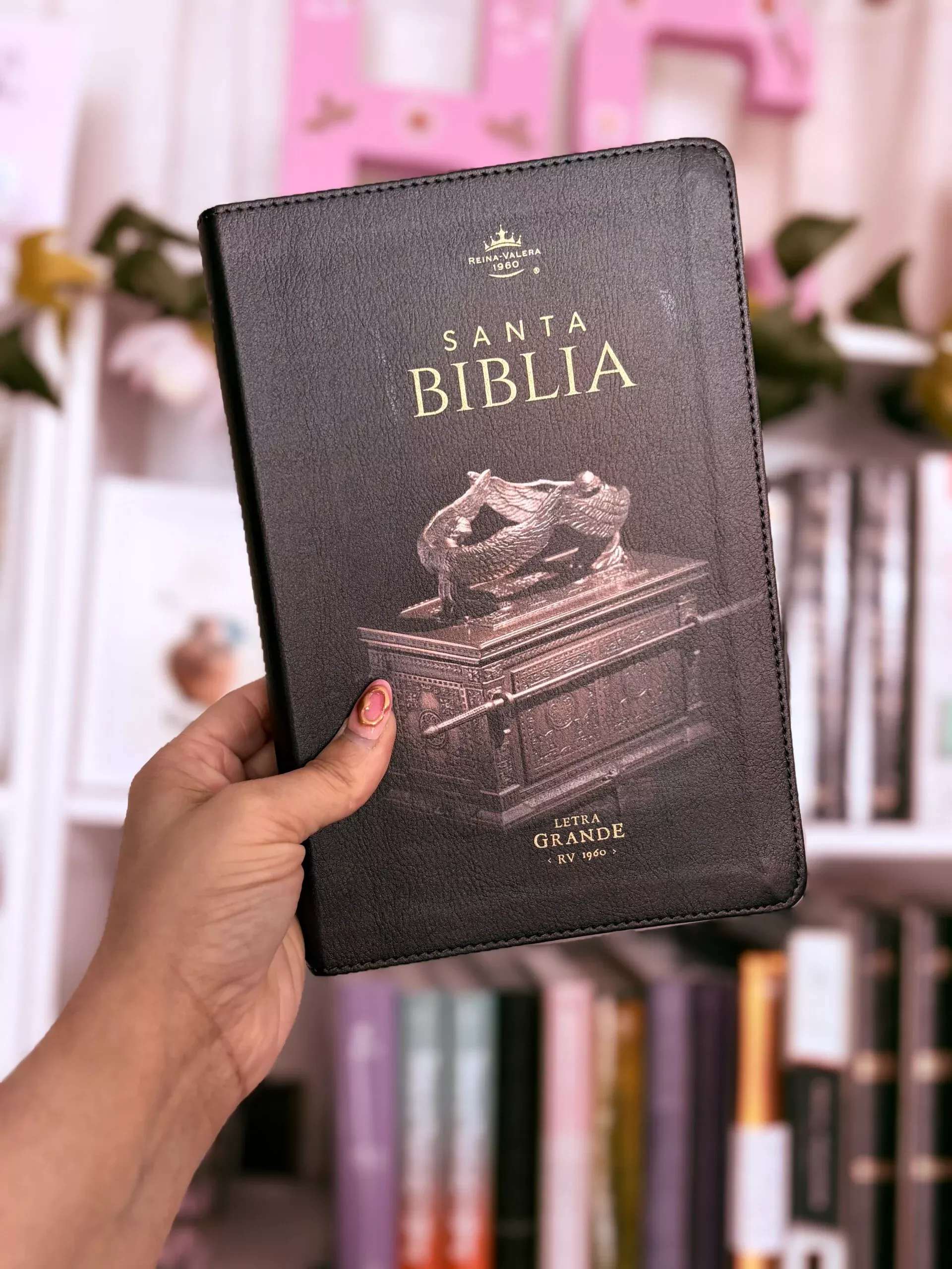 Biblia Arca del Pacto RV1960
