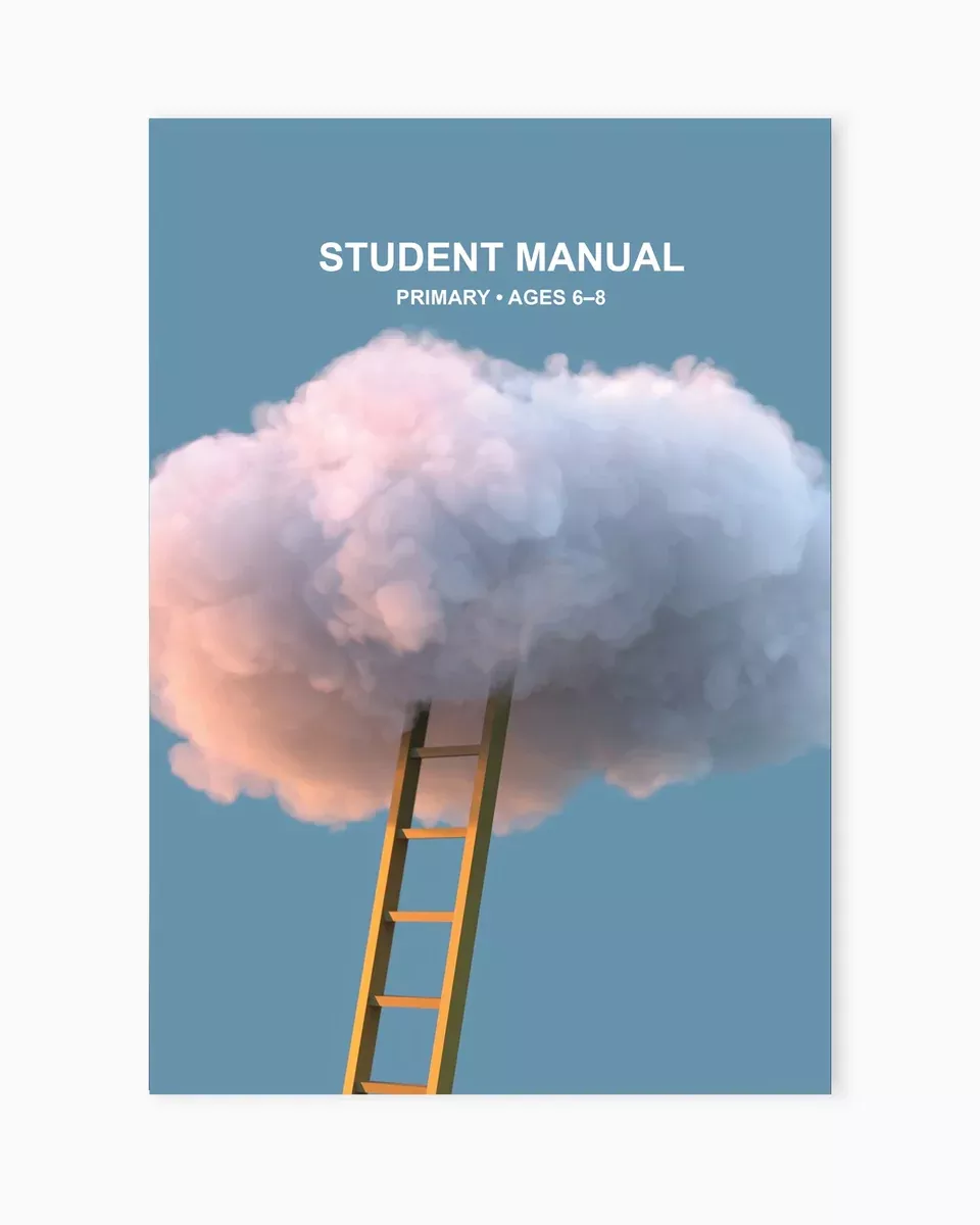 From Vision To Reality - VBS Primary Student Manual