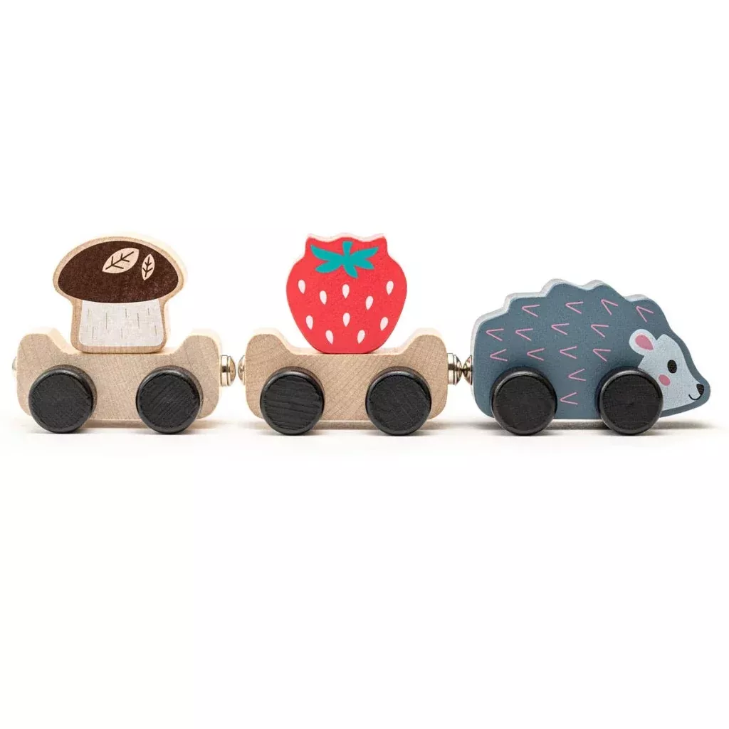 Magnetic Clever Hedgehog Toy
