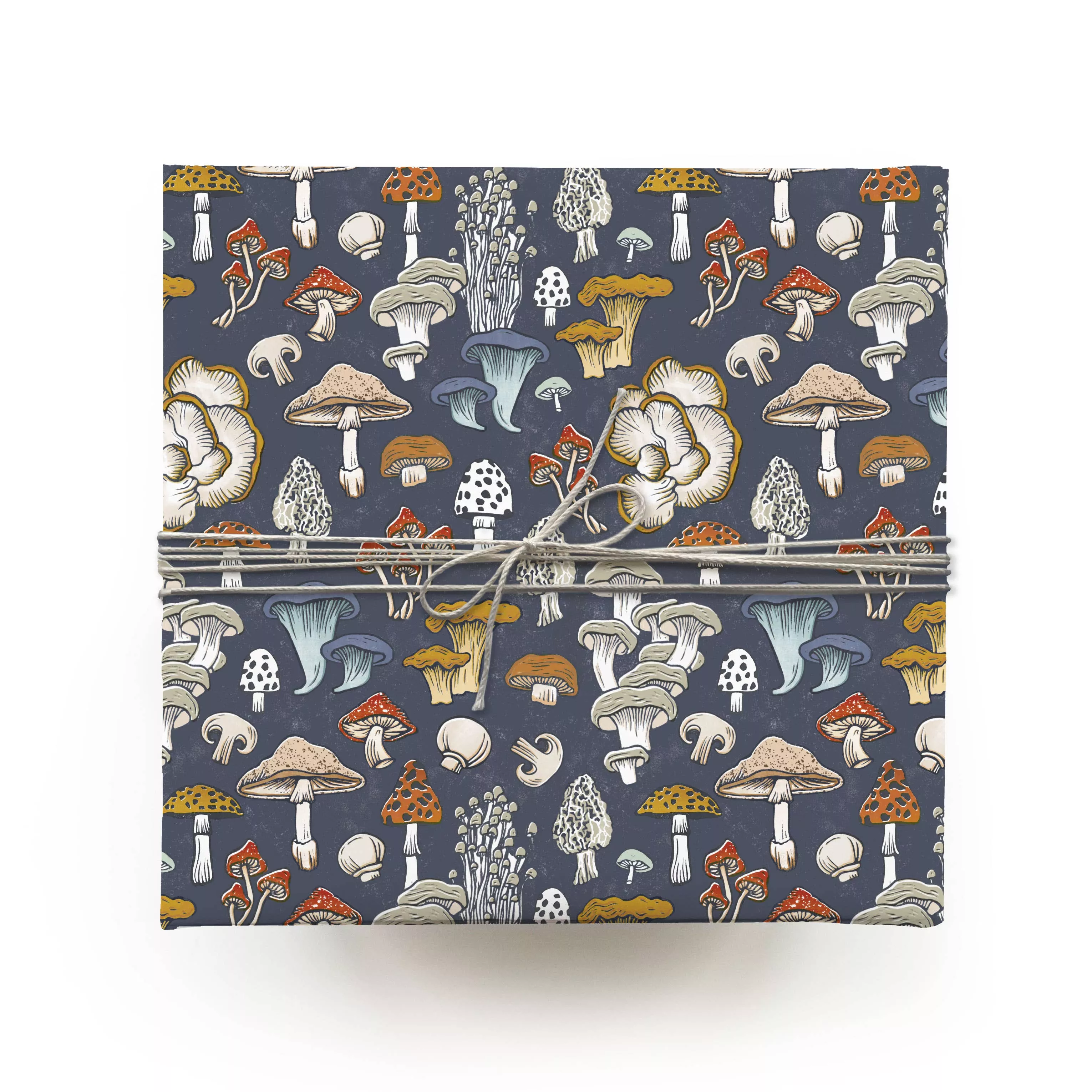 Mushroom + Fungi Gift Wrap: Rolled Set of 3 Sheets - Root & Branch Paper Co.