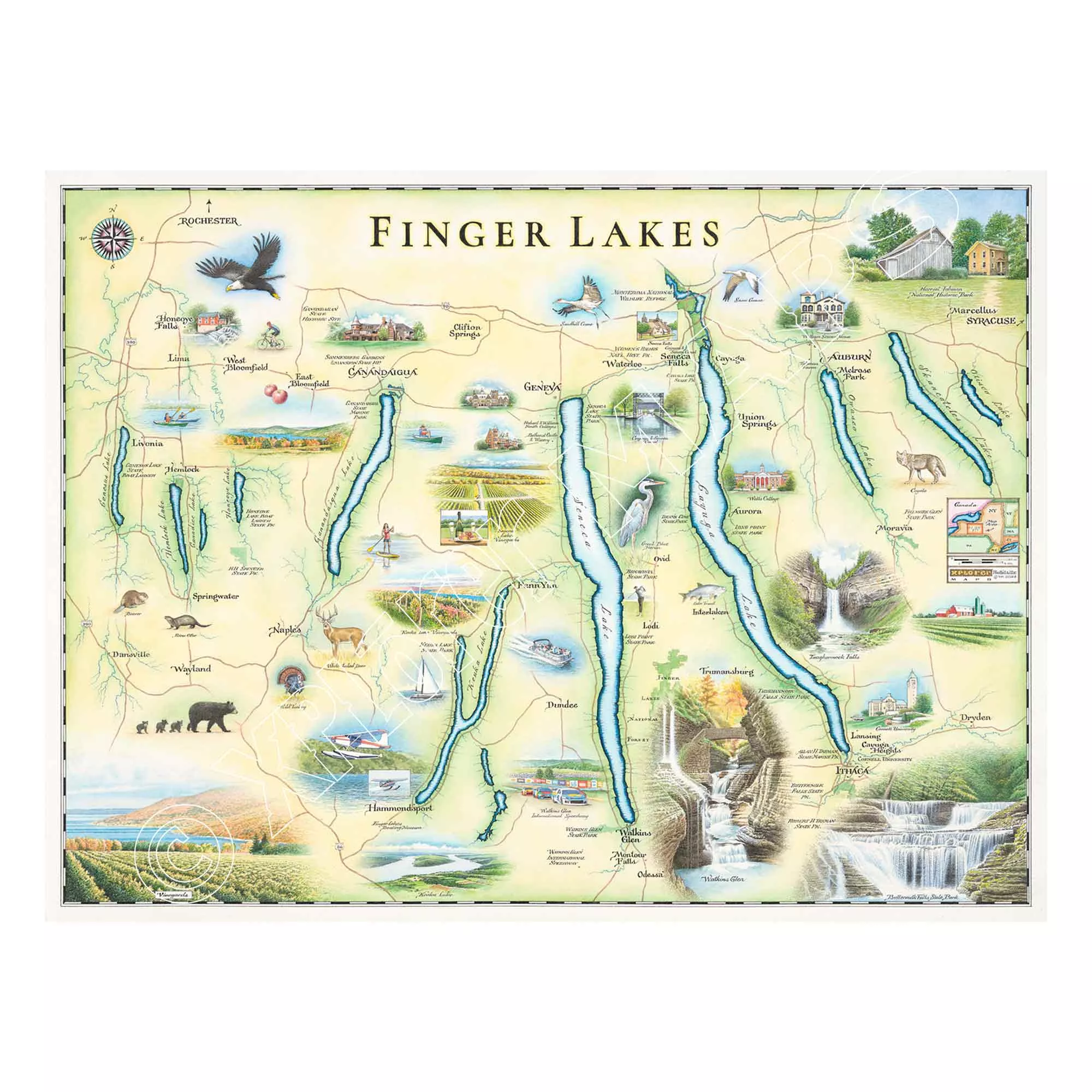 XPLORER MAPS: Finger Lakes Hand-Drawn Map