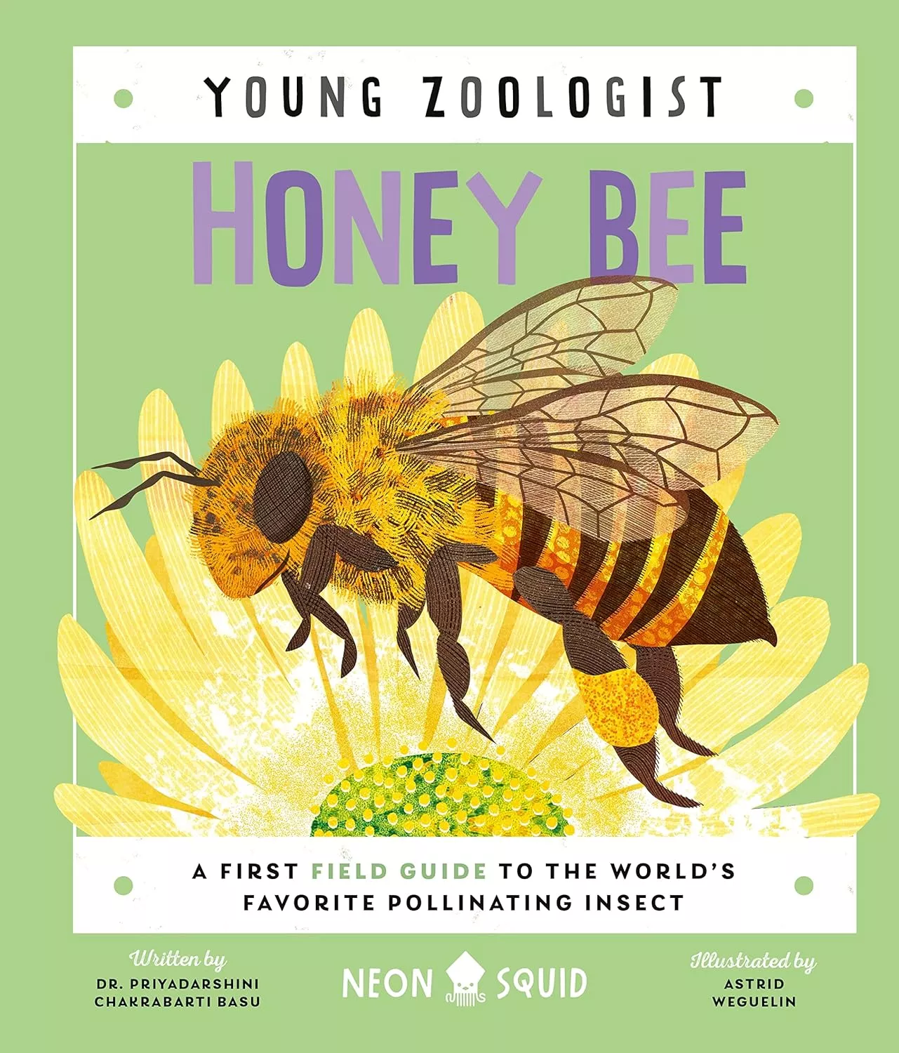 Young Zoologist: Honey Bee